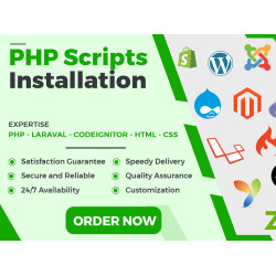 Professional Website Script Installation Service
