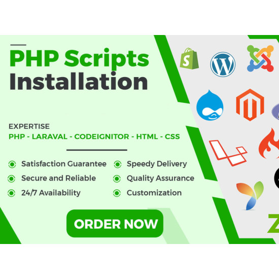 Professional Script Installation Service